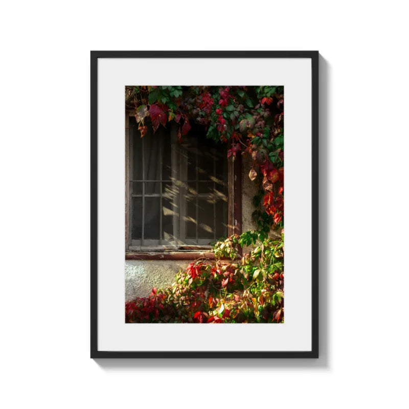 Framed Fine Art Prints Affordable Total Size Options - Framed Fine Art Prints