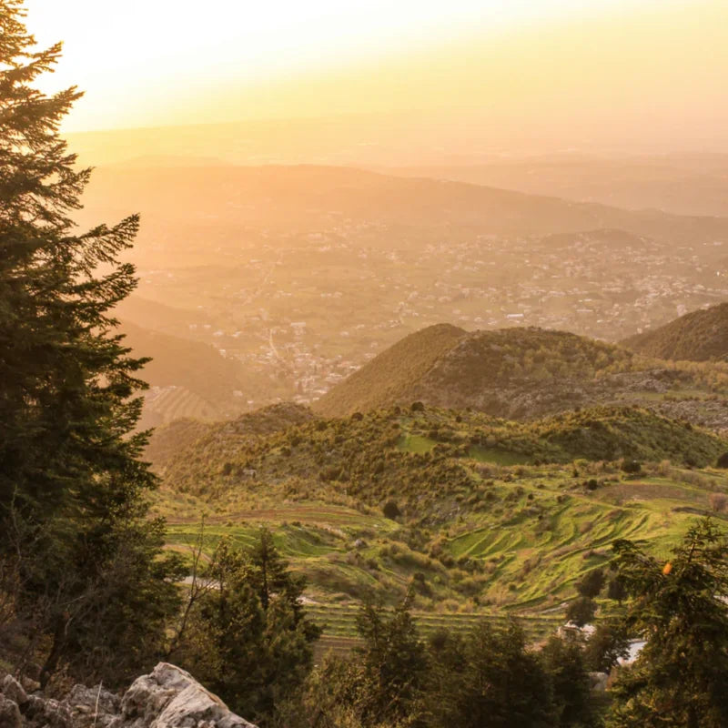 Framed Fine Art Prints Affordable Total Size Options - Framed Fine Art Prints