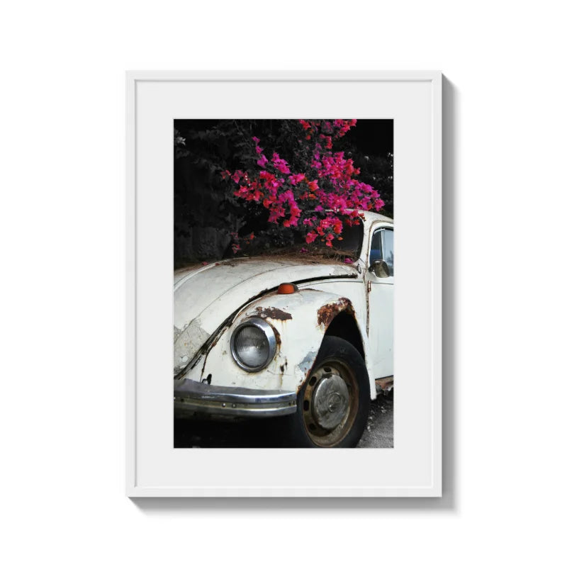 Framed Fine Art Prints Affordable Total Size Options - Framed Fine Art Prints