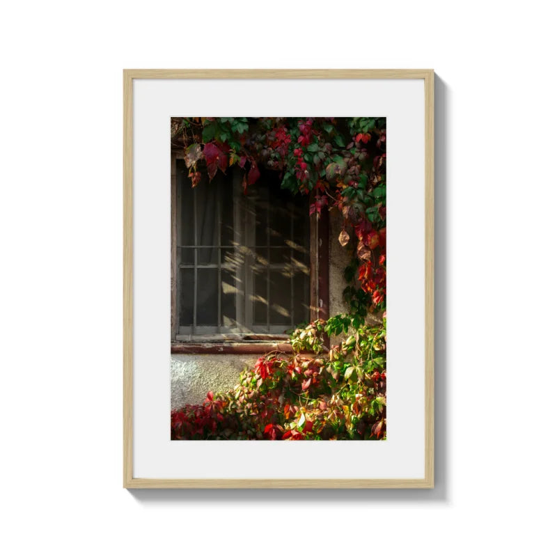 Framed Fine Art Prints Affordable Total Size Options - Framed Fine Art Prints