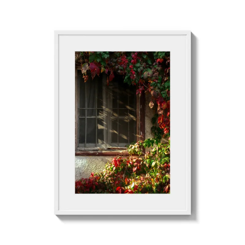 Framed Fine Art Prints Affordable Total Size Options - Framed Fine Art Prints