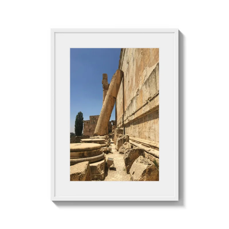 Framed Fine Art Prints Affordable Total Size Options - Framed Fine Art Prints