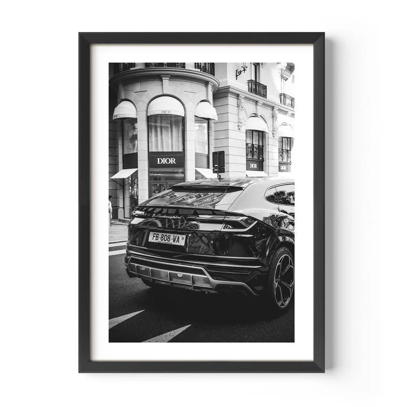 Framed Fine Art Prints Elevate Your Home - Framed Fine Art Prints