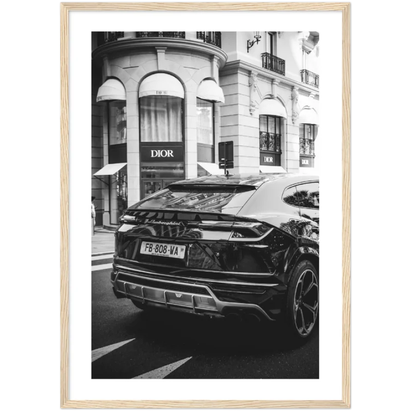 Framed Fine Art Prints Elevate Your Home - Framed Fine Art Prints