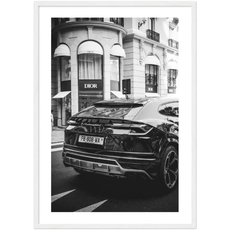 Framed Fine Art Prints Elevate Your Home - Framed Fine Art Prints