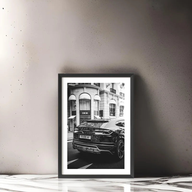 Framed Fine Art Prints Elevate Your Home - Framed Fine Art Prints