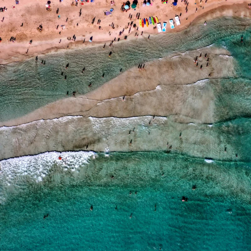 Framed Fine Art Prints for Elegant Homes - Framed Fine Art Prints