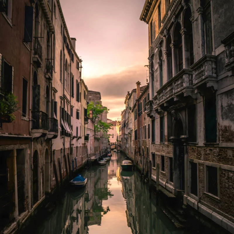 Framed Fine Art Prints For Elegant Homes - Framed Fine Art Prints