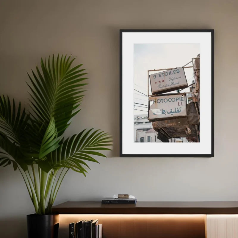 Framed Fine Art Prints for Elegant Homes - Framed Fine Art Prints