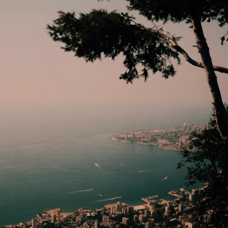 Framed Fine Art Prints Gallery Quality - Framed Fine Art Prints