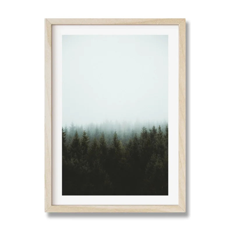 Framed Forest Fine Art Print Gallery Quality - Framed Fine Art Prints
