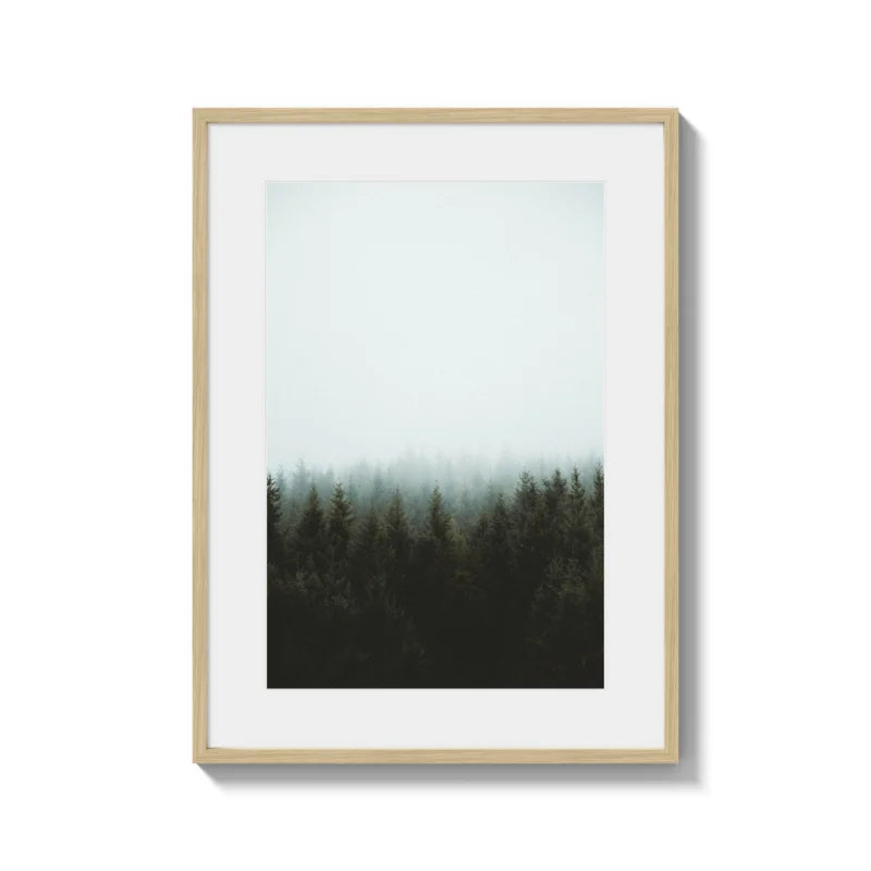 Framed Forest Fine Art Print Gallery Quality - Framed Fine Art Prints