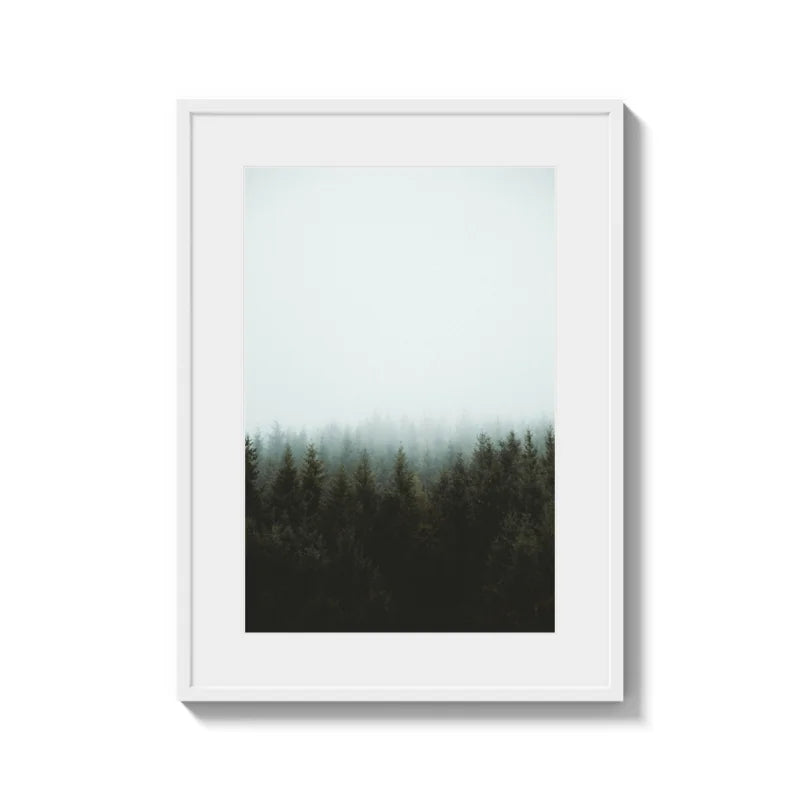 Framed Forest Fine Art Print Gallery Quality - Framed Fine Art Prints