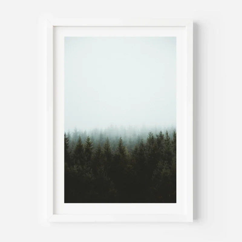 Framed Forest Fine Art Print Gallery Quality - Framed Fine Art Prints