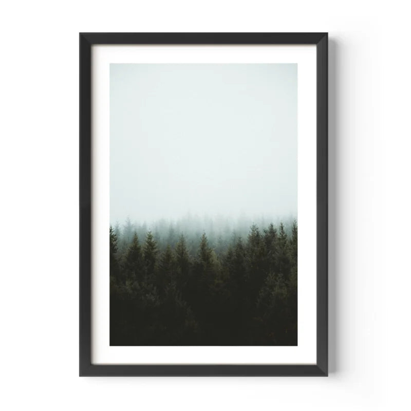 Framed Forest Fine Art Print Gallery Quality - Framed Fine Art Prints