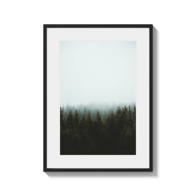 Framed Forest Fine Art Print Gallery Quality - Framed Fine Art Prints