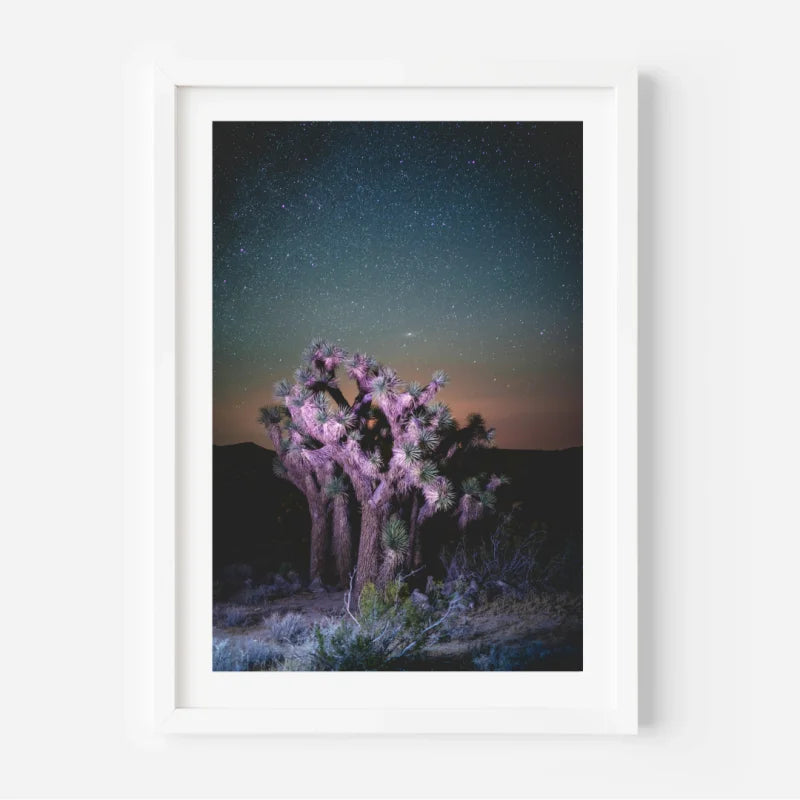 Framed Joshua Tree Fine Art Print - Framed Fine Art Prints