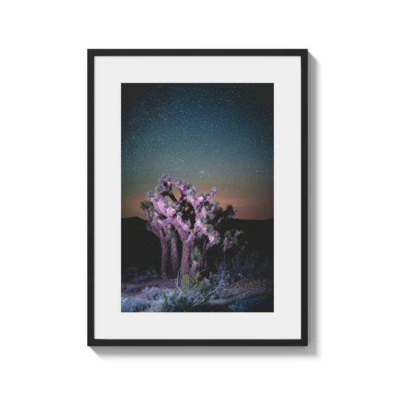 Framed Joshua Tree Fine Art Print - Framed Fine Art Prints