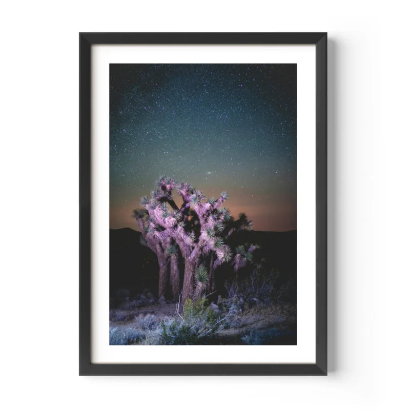Framed Joshua Tree Fine Art Print - Framed Fine Art Prints