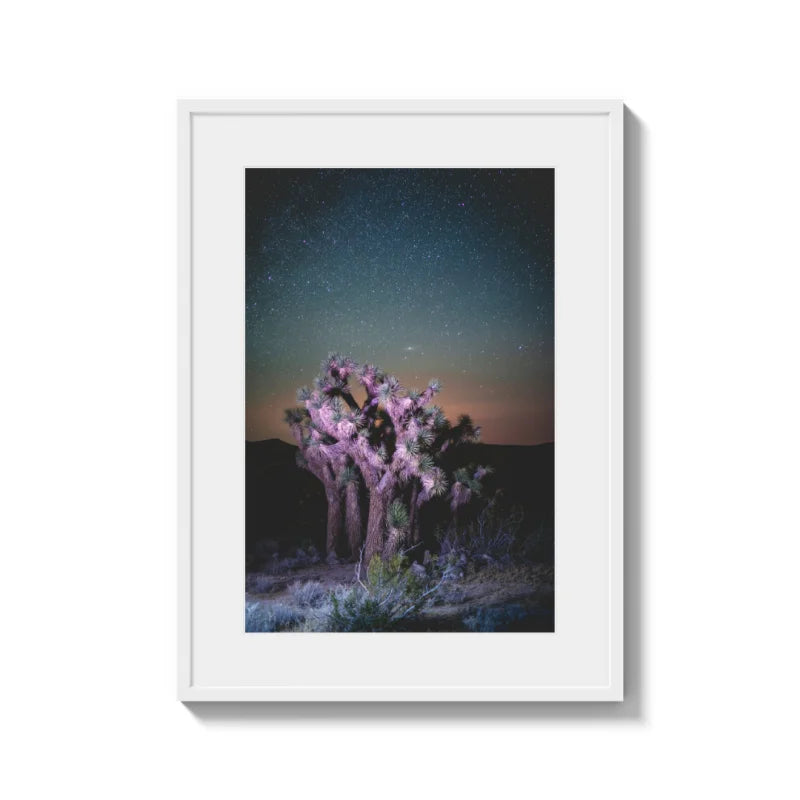 Framed Joshua Tree Fine Art Print - Framed Fine Art Prints