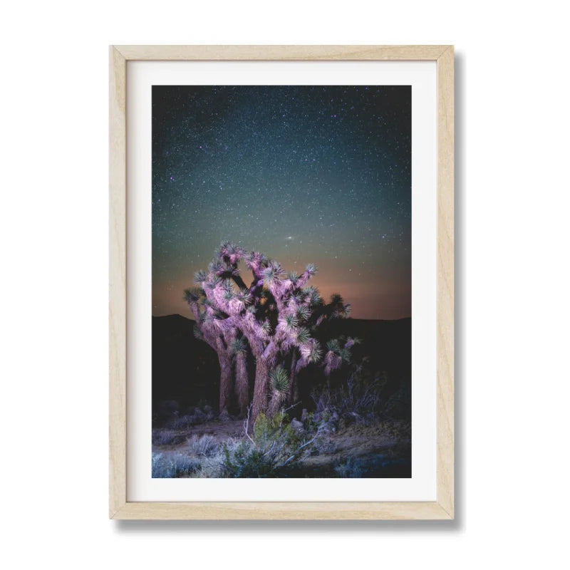 Framed Joshua Tree Fine Art Print - Framed Fine Art Prints