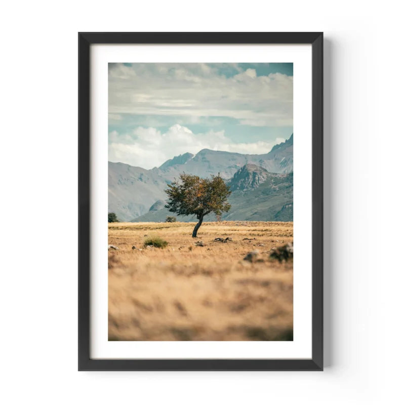 Framed Landscape Fine Art Prints - Framed Fine Art Prints