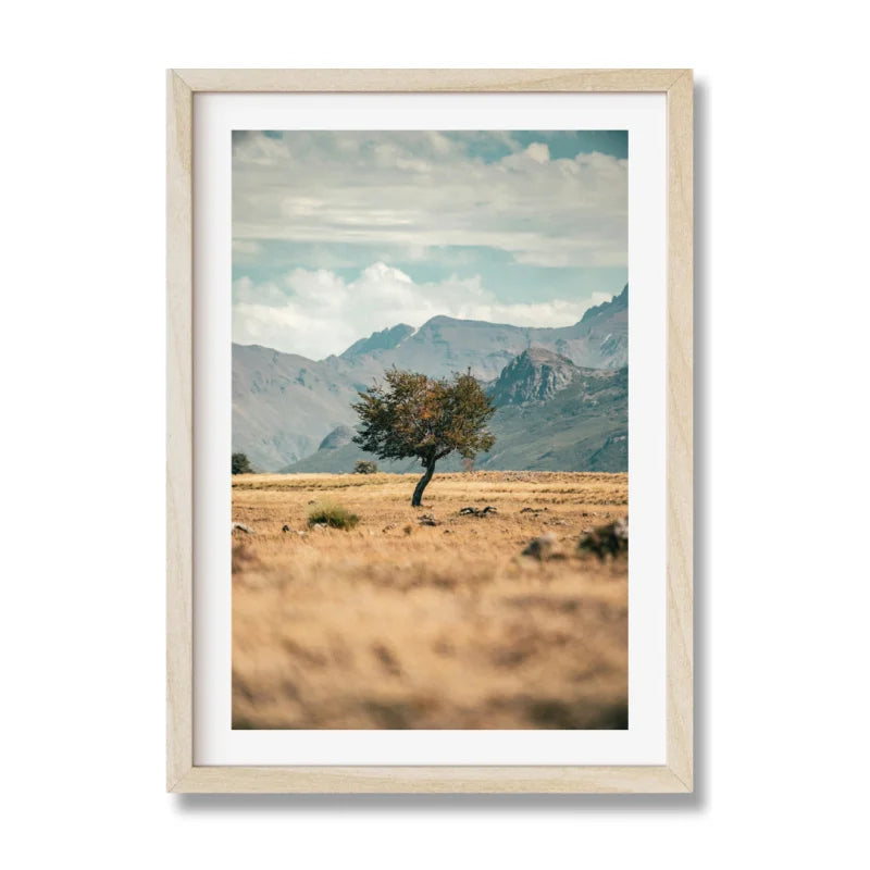 Framed Landscape Fine Art Prints - Framed Fine Art Prints