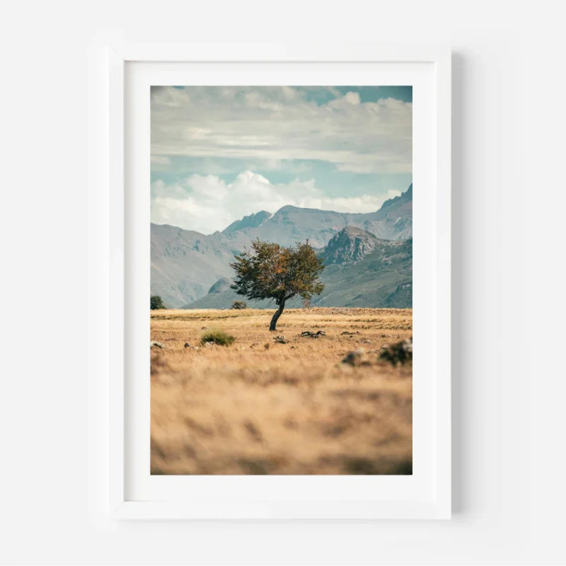 Framed Landscape Fine Art Prints - Framed Fine Art Prints