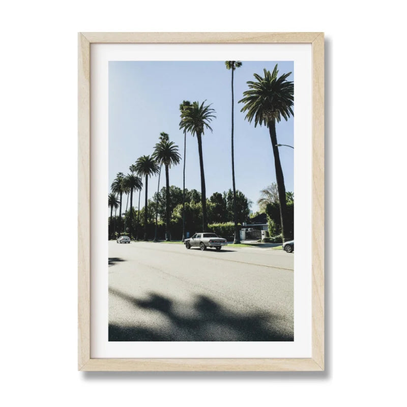 Framed Palm Tree Fine Art Print - Framed Fine Art Prints