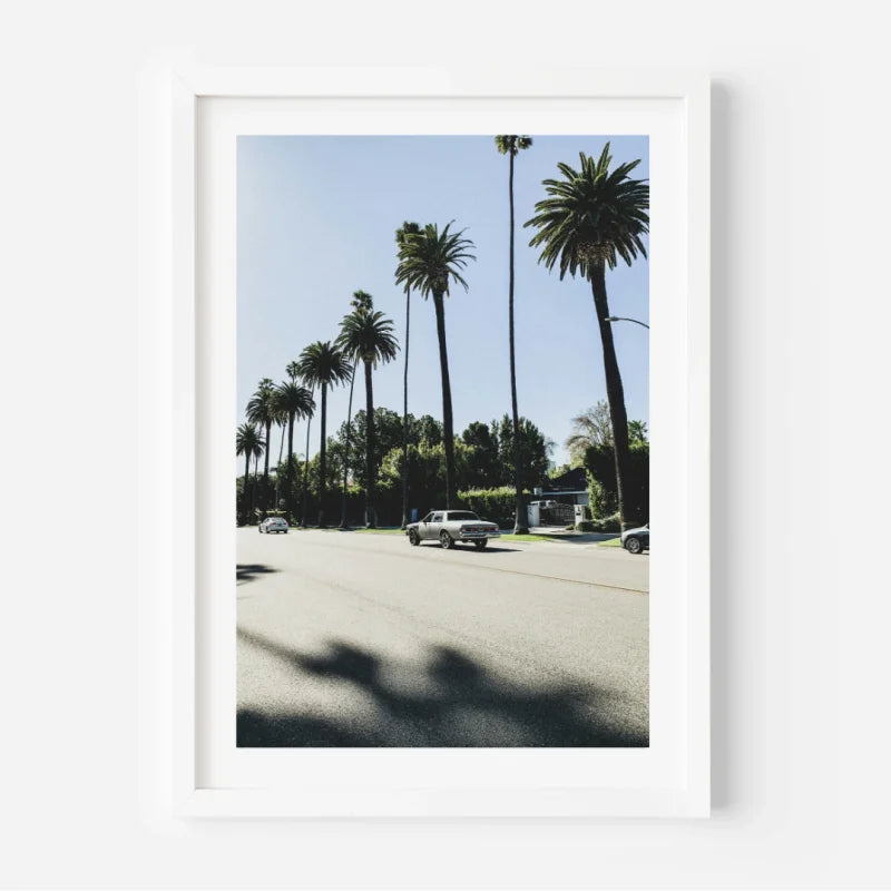 Framed Palm Tree Fine Art Print - Framed Fine Art Prints