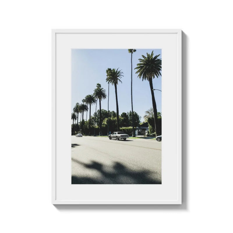 Framed Palm Tree Fine Art Print - Framed Fine Art Prints
