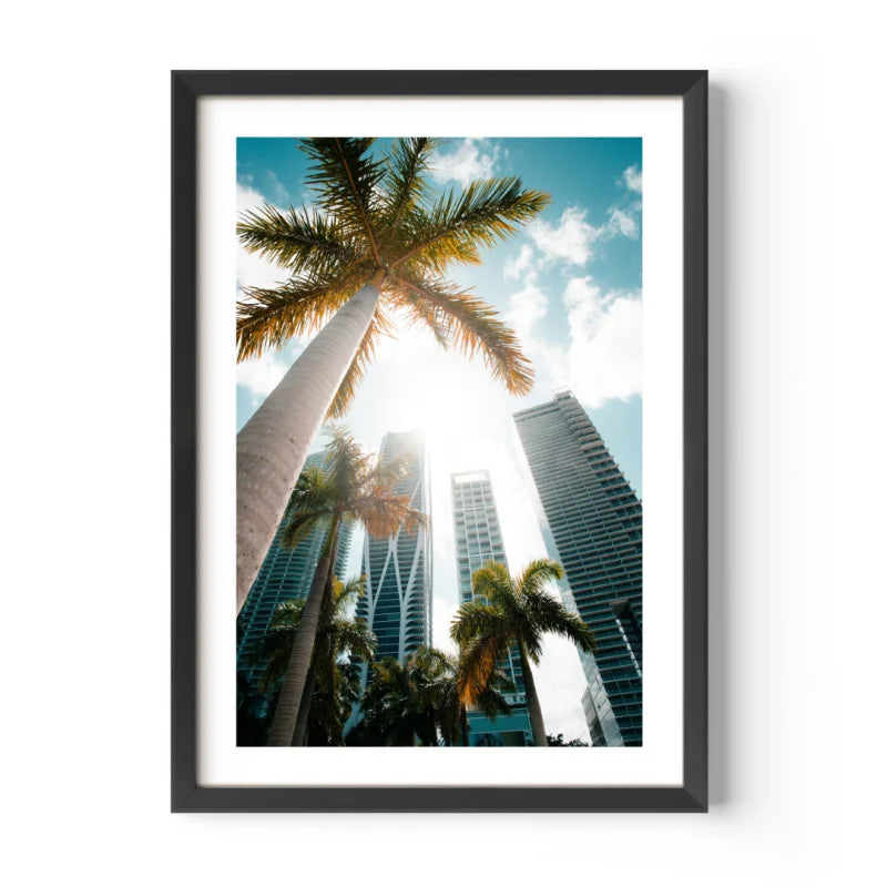 Palm and Skyscraper Fine Art Prints Framed - Coastal & Seaside (Framed Fine Art)