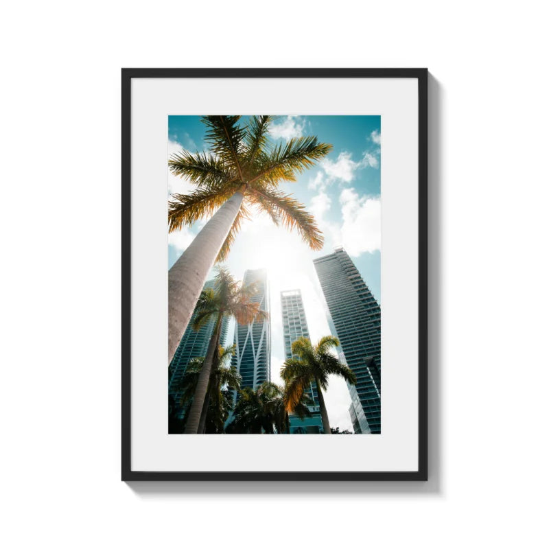 Palm and Skyscraper Fine Art Prints Framed - Coastal & Seaside (Framed Fine Art)