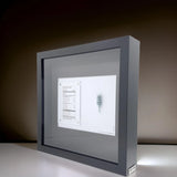 Elements Collection Personalized Art - Elements: Beauty Alchemy