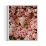 Elephant and Pink Flowers Canvas Prints - Ready to Hang Canvas Prints
