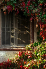 Framed Fine Art Prints Affordable Total Size Options - Framed Fine Art Prints