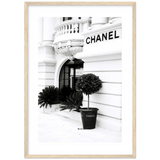 Framed Fine Art Prints for Elegant Homes - Framed Fine Art Prints