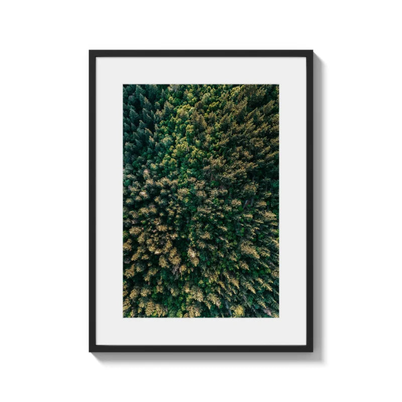 Framed Fine Art Prints Total Size Options - Framed Fine Art Prints