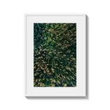 Framed Fine Art Prints Total Size Options - Framed Fine Art Prints