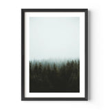 Framed Forest Fine Art Print Gallery Quality - Framed Fine Art Prints