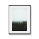Framed Forest Fine Art Print Gallery Quality - Framed Fine Art Prints