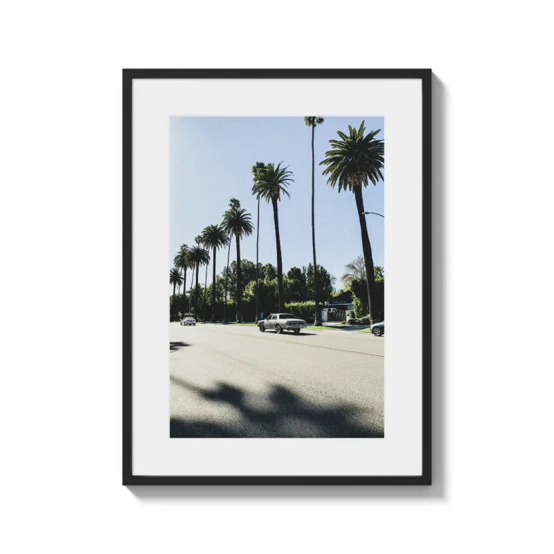 Framed Palm Tree Fine Art Print - Framed Fine Art Prints