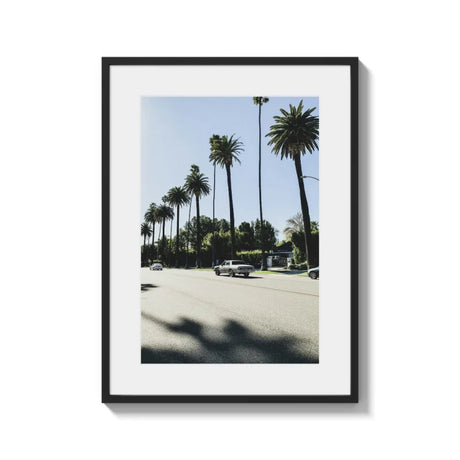 Framed Palm Tree Fine Art Print - Framed Fine Art Prints