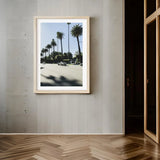 Framed Palm Tree Fine Art Print - Framed Fine Art Prints