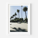 Framed Palm Tree Fine Art Print - Framed Fine Art Prints