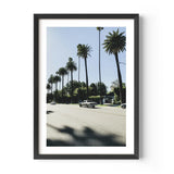 Framed Palm Tree Fine Art Print - Framed Fine Art Prints