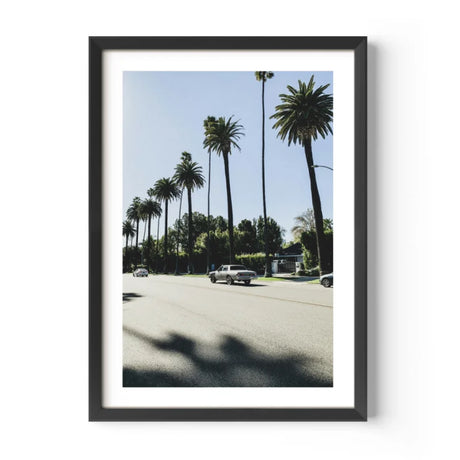 Framed Palm Tree Fine Art Print - Framed Fine Art Prints