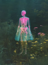 Pink Skeleton Tutu Canvas Prints Artwork - Ready to Hang Canvas Prints