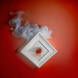 Unwilling Accomplice Home Decor - Home Decor